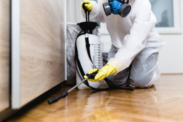 Best Local Pest Control Services  in Discovery Bay, CA